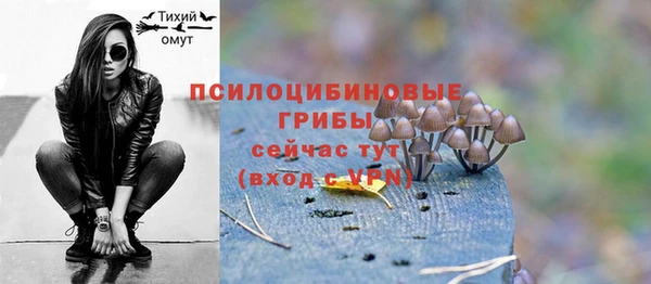 не бодяженный Переславль-Залесский