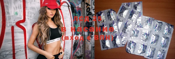 винт Губаха