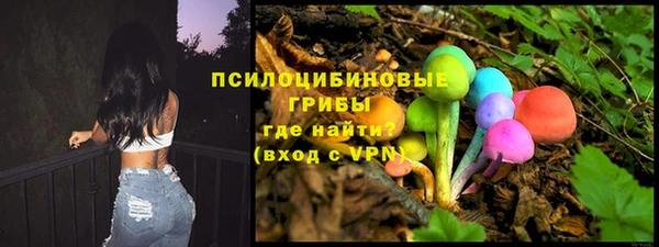 винт Губаха