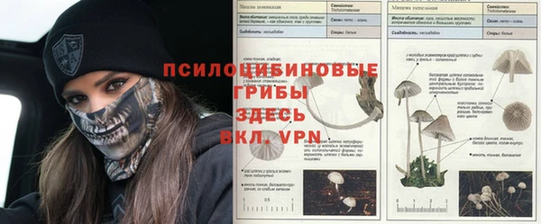кокаин премиум Пересвет
