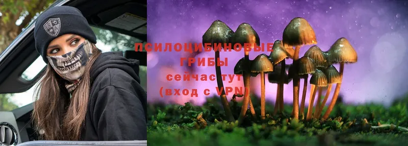 даркнет сайт  Саки  ссылка на мегу зеркало  Псилоцибиновые грибы Cubensis 