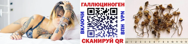 Псилоцибиновые грибы прущие грибы  hydra сайт  Саки  закладка 