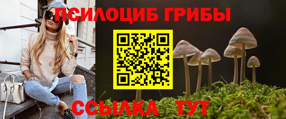 наркота  Псилоцибиновые грибы Psilocybe  Саки  Псилоцибиновые грибы Psilocybe 