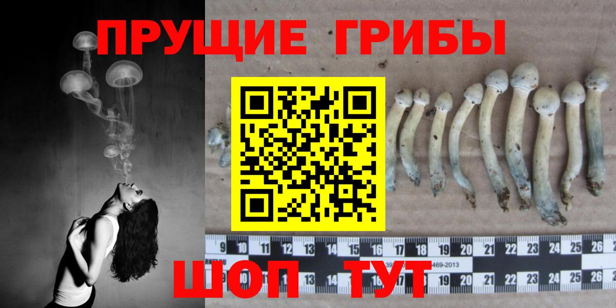 Галлюциногенные грибы Cubensis Саки
